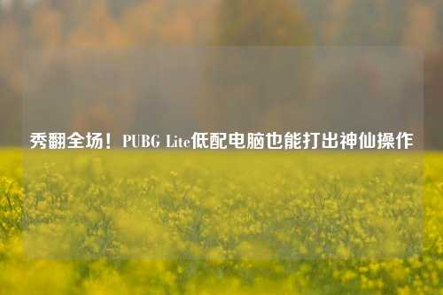 秀翻全场！PUBG Lite低配电脑也能打出神仙操作