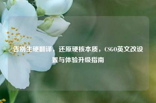 告别生硬翻译，还原硬核本质，CSGO英文改设置与体验升级指南