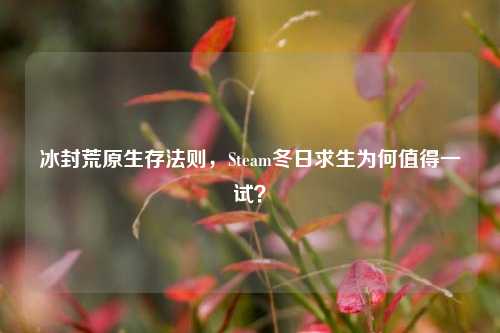 冰封荒原生存法则,Steam冬日求生为何值得一试?
