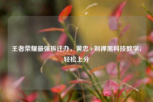 王者荣耀最强拆迁办,黄忠+刘禅黑科技教学,轻松上分