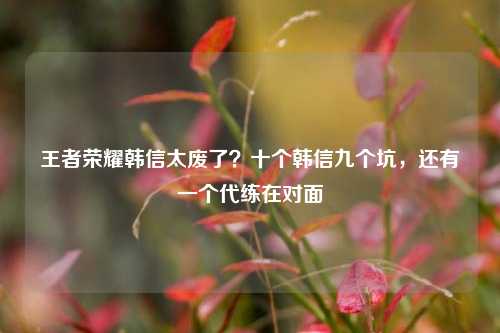 王者荣耀韩信太废了？十个韩信九个坑，还有一个代练在对面