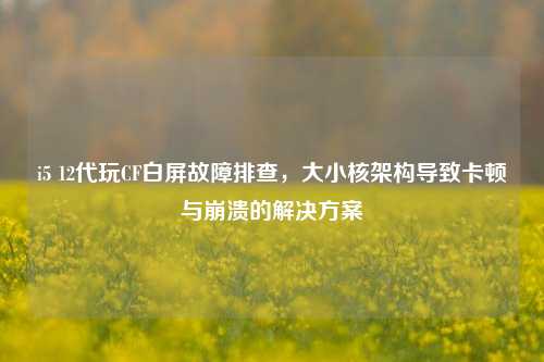 i5 12代玩CF白屏故障排查，大小核架构导致卡顿与崩溃的解决方案