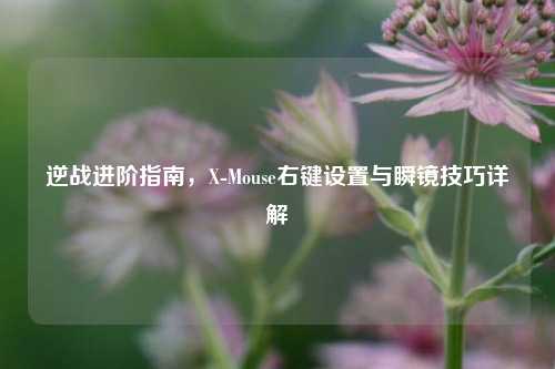逆战进阶指南，X-Mouse右键设置与瞬镜技巧详解