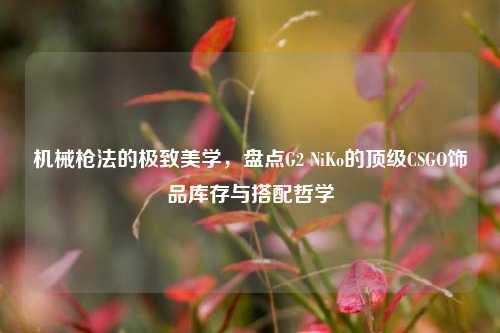机械枪法的极致美学,盘点G2 NiKo的顶级CSGO饰品库存与搭配哲学