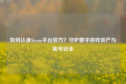 如何认准Steam平台官方？守护数字游戏资产与账号安全
