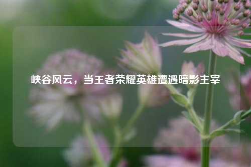 峡谷风云,当王者荣耀英雄遭遇暗影主宰