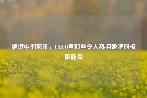 绝境中的怒吼，CS:GO里那些令人热泪盈眶的极限翻盘