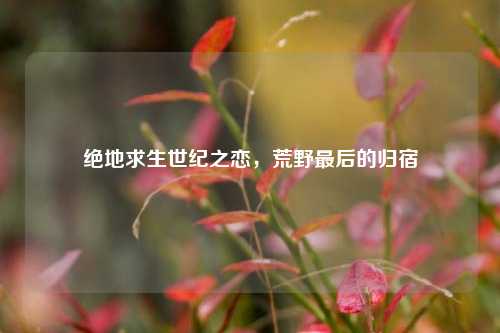 绝地求生世纪之恋，荒野最后的归宿