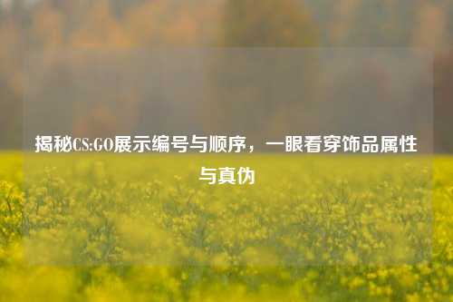 揭秘CS:GO展示编号与顺序，一眼看穿饰品属性与真伪