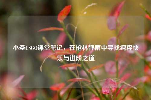 小圣CSGO课堂笔记，在枪林弹雨中寻找纯粹快乐与进阶之道