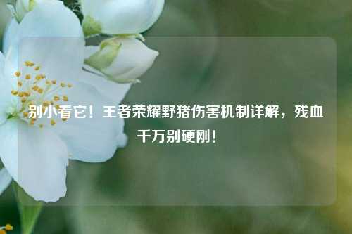 别小看它!王者荣耀野猪伤害机制详解,残血千万别硬刚!