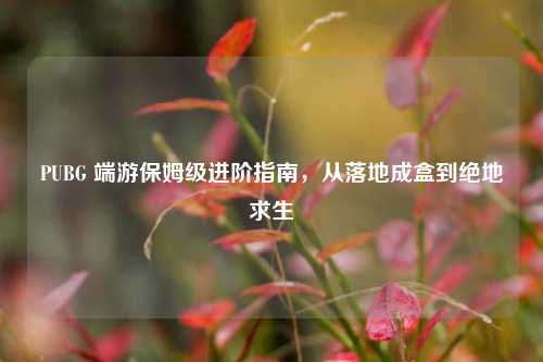 PUBG 端游保姆级进阶指南，从落地成盒到绝地求生