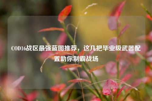 COD16战区最强蓝图推荐，这几把毕业级武器配置助你制霸战场