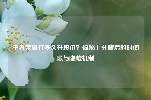 王者荣耀打多久升段位?揭秘上分背后的时间账与隐藏机制