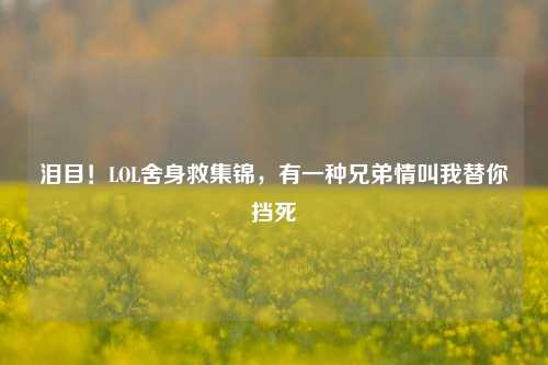 泪目！LOL舍身救集锦，有一种兄弟情叫我替你挡死