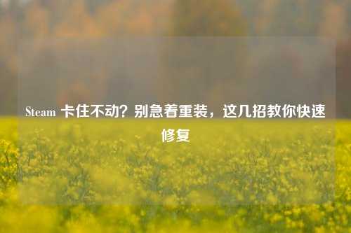 Steam 卡住不动？别急着重装，这几招教你快速修复