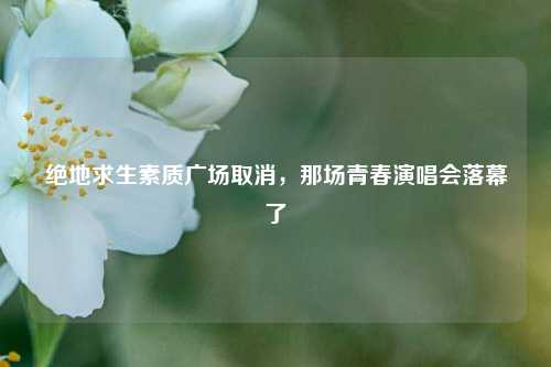 绝地求生素质广场取消，那场青春演唱会落幕了