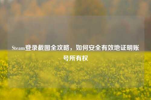 Steam登录截图全攻略,如何安全有效地证明账号所有权