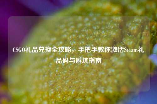 CSGO礼品兑换全攻略，手把手教你激活Steam礼品码与避坑指南