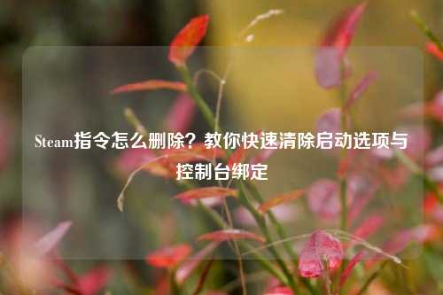 Steam指令怎么删除？教你快速清除启动选项与控制台绑定