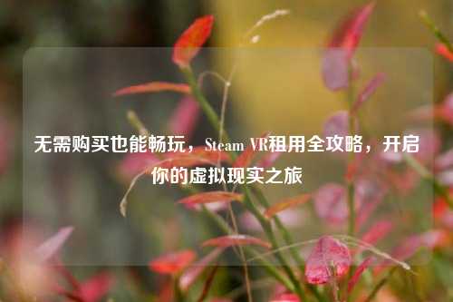 无需购买也能畅玩,Steam VR租用全攻略,开启你的虚拟现实之旅