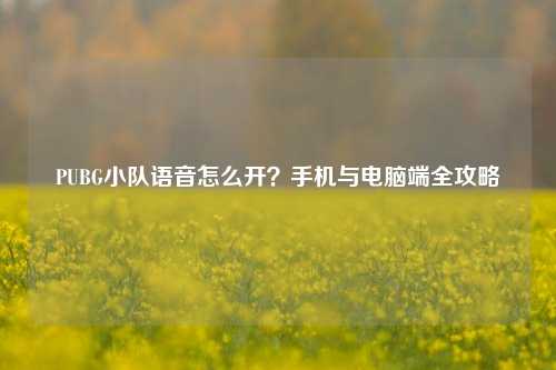 PUBG小队语音怎么开?手机与电脑端全攻略