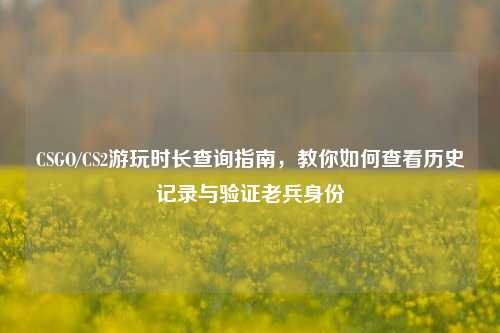 CSGO/CS2游玩时长查询指南,教你如何查看历史记录与验证老兵身份
