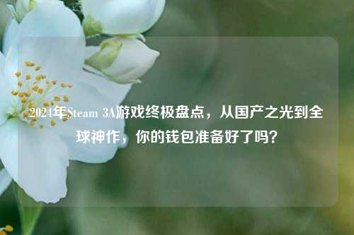 2024年Steam 3A游戏终极盘点,从国产之光到全球神作,你的钱包准备好了吗?