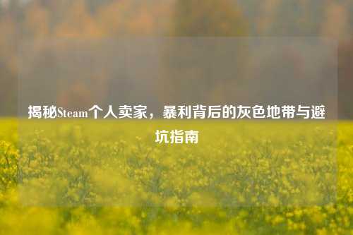 揭秘Steam个人卖家,暴利背后的灰色地带与避坑指南