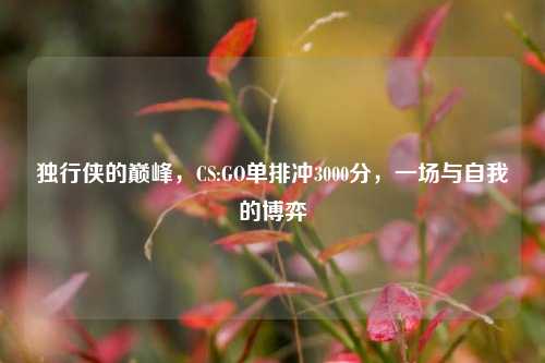 独行侠的巅峰，CS:GO单排冲3000分，一场与自我的博弈