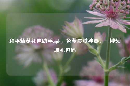 和平精英礼包助手.apk,免费皮肤神器,一键领取礼包码