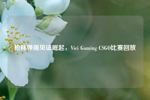 枪林弹雨见证崛起，Vici Gaming CSGO比赛回放