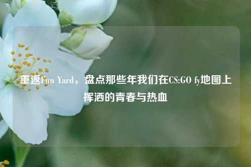 重返Fun Yard，盘点那些年我们在CS:GO fy地图上挥洒的青春与热血