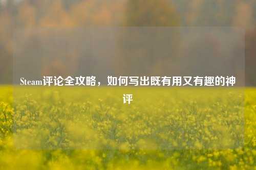 Steam评论全攻略,如何写出既有用又有趣的神评