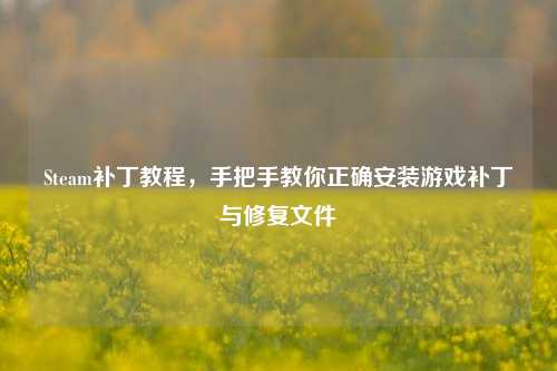 Steam补丁教程，手把手教你正确安装游戏补丁与修复文件