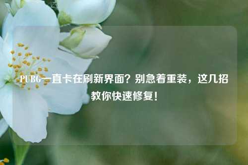 PUBG一直卡在刷新界面？别急着重装，这几招教你快速修复！