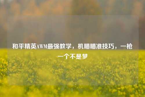 和平精英AWM最强教学，机瞄瞄准技巧，一枪一个不是梦