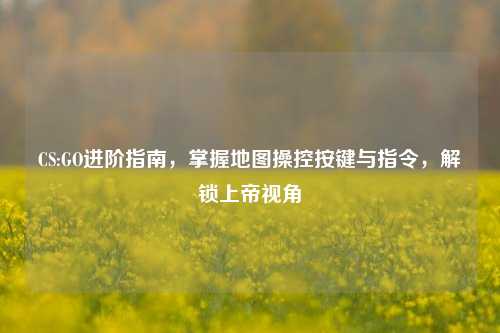 CS:GO进阶指南，掌握地图操控按键与指令，解锁上帝视角
