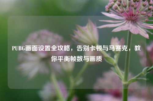 PUBG画面设置全攻略，告别卡顿与马赛克，教你平衡帧数与画质