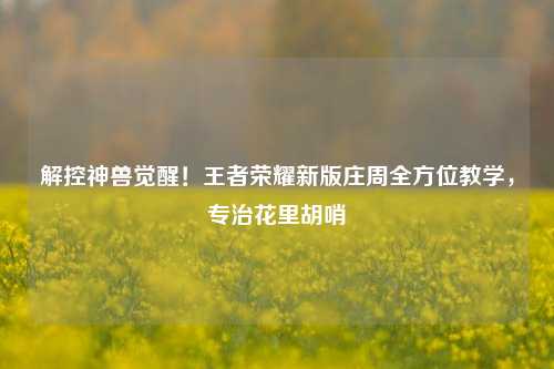 解控神兽觉醒！王者荣耀新版庄周全方位教学，专治花里胡哨