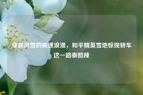 穿越风雪的极速浪漫，和平精英雪地惊现轿车这一路泰酷辣