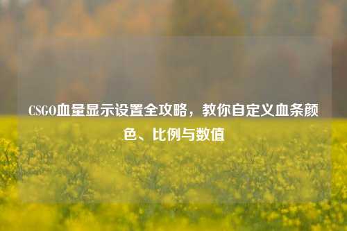 CSGO血量显示设置全攻略，教你自定义血条颜色、比例与数值
