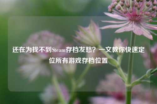 还在为找不到Steam存档发愁？一文教你快速定位所有游戏存档位置