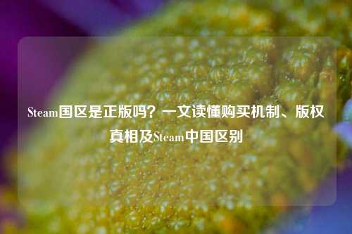 Steam国区是正版吗?一文读懂购买机制、版权真相及Steam中国区别