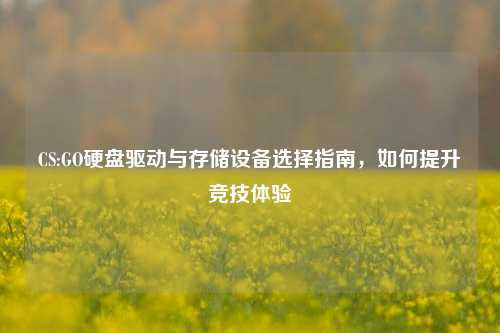 CS:GO硬盘驱动与存储设备选择指南，如何提升竞技体验