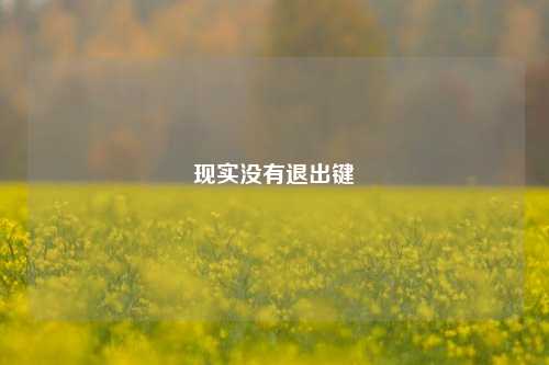 现实没有退出键
