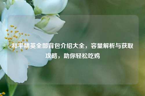 和平精英全部背包介绍大全,容量解析与获取攻略,助你轻松吃鸡