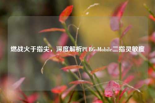 燃战火于指尖,深度解析PUBG Mobile二指灵敏度