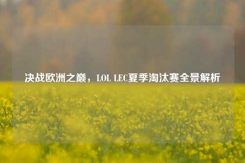 决战欧洲之巅,LOL LEC夏季淘汰赛全景解析