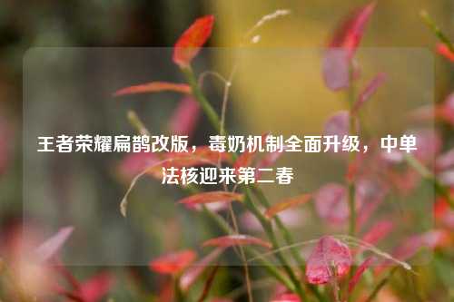 王者荣耀扁鹊改版,毒奶机制全面升级,中单法核迎来第二春